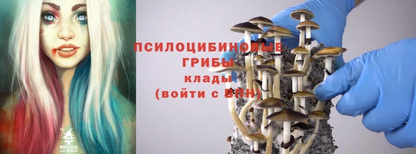 дмт Армянск