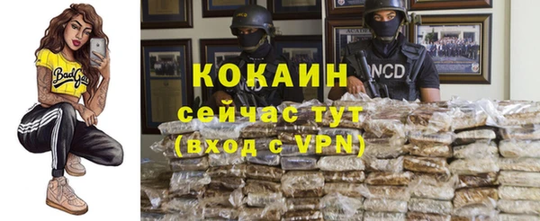 дмт Армянск