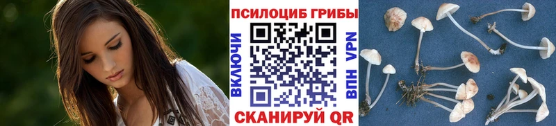 Галлюциногенные грибы мухоморы  Нефтекумск 